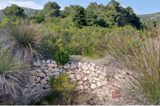 012 5418 30 Veliki Skolj Private island a peaceful oasis in nature for sale