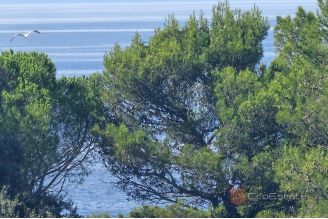 014 1023 46 Krk Penthouse apartmant near the beach for sale