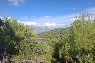 005 2031 206 Brac Attractive agricultural land with sea view for sale