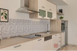 015 1014 44 Porec modern house with pool for sale