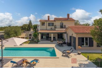 001 5440 30 Labin Villa with a pool in the hearth of nature for sale