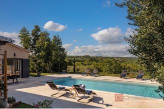 020 5440 30 Labin Villa with a pool in the hearth of nature for sale