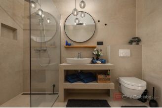 020 5440 30 Labin Villa with a pool in the hearth of nature for sale