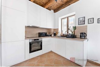 010 1021 42 Pazin Stone villa with heated pool for sale