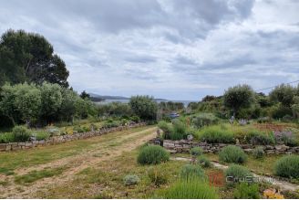 006 1030 08 Losinj Building land near the sea for sale