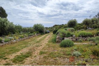006 1030 08 Losinj Building land near the sea for sale
