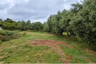 006 1030 08 Losinj Building land near the sea for sale