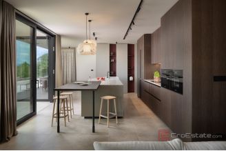 019 2053 29 Labin Modern luxury villa with pool and sea view for sale