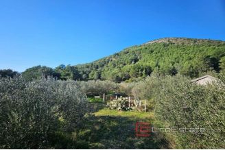 010 5458 30 Makarska Agricultural land near the sea for sale