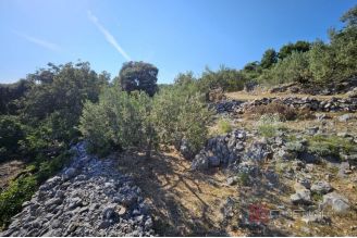 008 2057 18 Marina Agricultural land with a sea view for sale