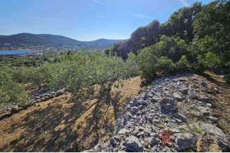 008 2057 18 Marina Agricultural land with a sea view for sale