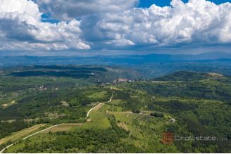 008 2022 489 pazin unique property with conceptual design for sale