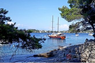 008 2052 110 Solta Apartment near the beach for sale