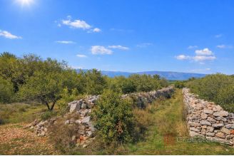004 2051 58 Hvar agricultural land in a unesco zone for sale