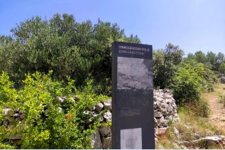 001 2051 63 Hvar Agricultural land for sale