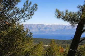 004 2051 64 Hvar building plot in a prime location for sale