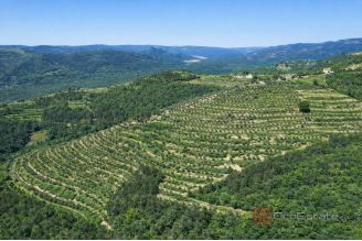 014 2053 42 Motovun Unique property with panoramic view for sale