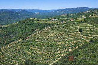 014 2053 42 Motovun Unique property with panoramic view for sale