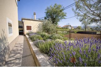 020 2060 11 Split Area Family house with yard and two seperate apartments for sale