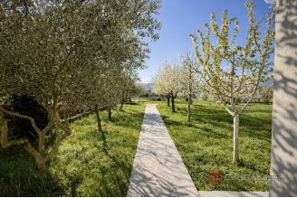 020 2060 11 Split Area Family house with yard and two seperate apartments for sale