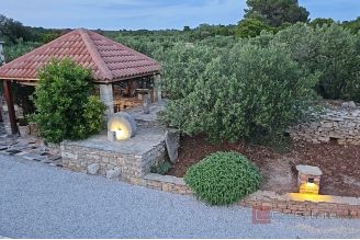 006 2061 07 Solta charming stone house with olive grove for sale