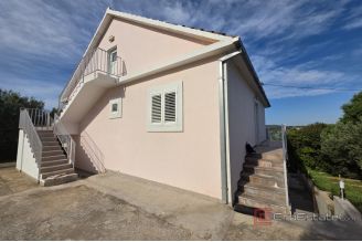 009 2061 09 Solta Spacious house with olicw grove and a sea view for sale