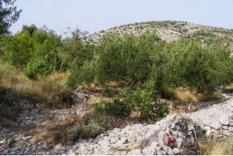 006 5513 30 Rogoznica Agricultural land with a sea view for sale