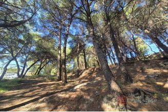 007 2016 710 split unique green oasis in the east of split for sale