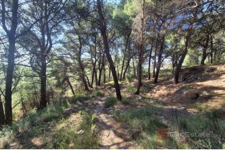 007 2016 710 split unique green oasis in the east of split for sale