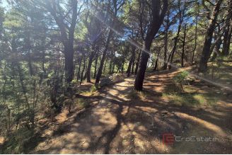 007 2016 710 split unique green oasis in the east of split for sale