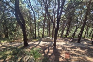 007 2016 710 split unique green oasis in the east of split for sale
