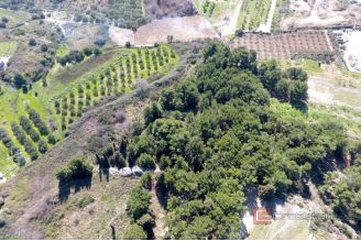007 2016 710 split unique green oasis in the east of split for sale