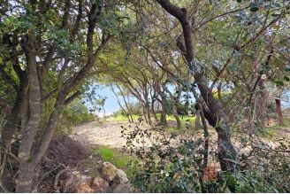 008 1014 51 pula house with large plot first row to the sea for sale