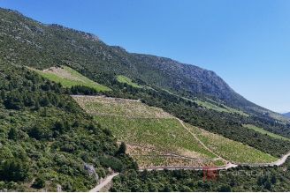 011 2052 130 Peljesac Land with sea access for sale
