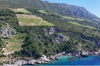 011 2052 130 Peljesac Land with sea access for sale