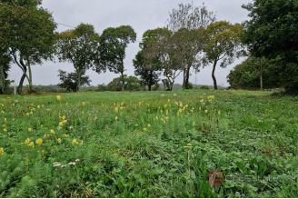 003 5531 30 Labin Building plot for sale