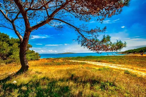 buy-real-estate-in-istria