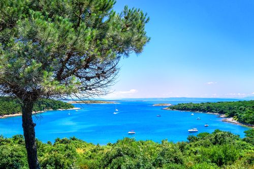 buy-real-estate-on-island